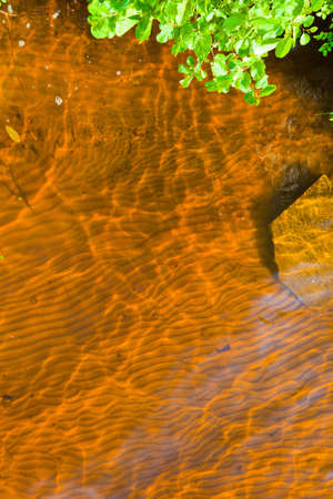 Brown sand in a lakeの写真素材