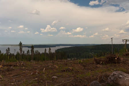 Logging site on a hill top