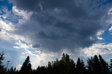 Storm clouds forming over a forest