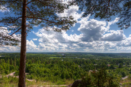 Clouds over an forest with tree in the foregroundの写真素材
