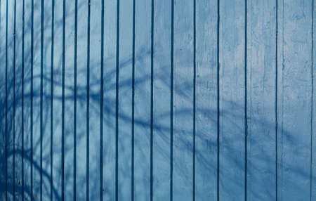 Blue plank wall with shape of a tree branch