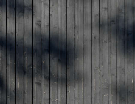 Black plank wall with shape of a tree branchの写真素材