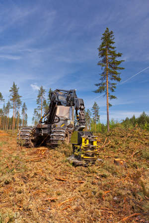 Logging machine that cuts and trims trees