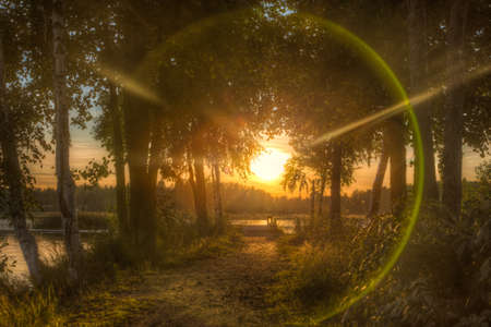 A path leading to a an old pier when sun shining directly to cameraの写真素材