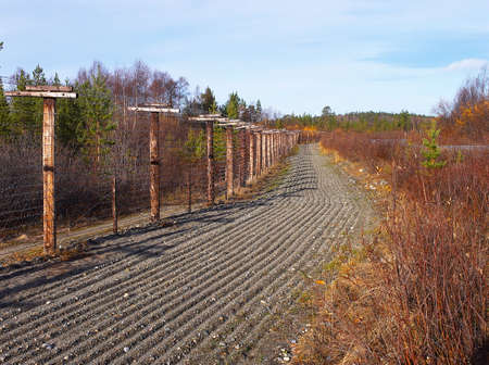 Neutral strip of the Russian-Norwegian frontier in forest-tundra. 