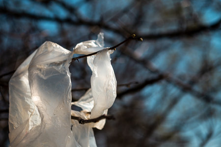 White plastic bag thrown and hung on a tree branch. Someone threw the bag and polluted the environment.の写真素材