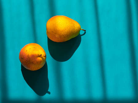 Minimalistic still life with pears on a cyan backgroundの写真素材