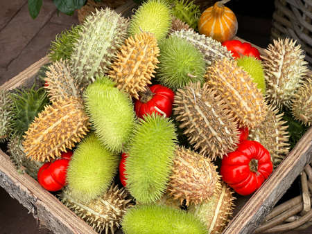 Exotic fruitbasket in multiple colors