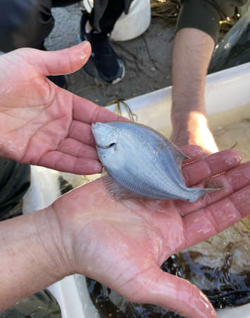 Educational schooltrip to see what lives in the fjords.
