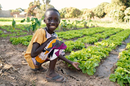 Food for Africa! Young Black Boy Smiling in front of Lettuce Salad Fieldの写真素材