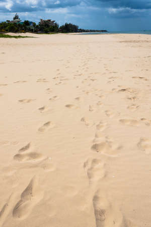 sand of beachの写真素材