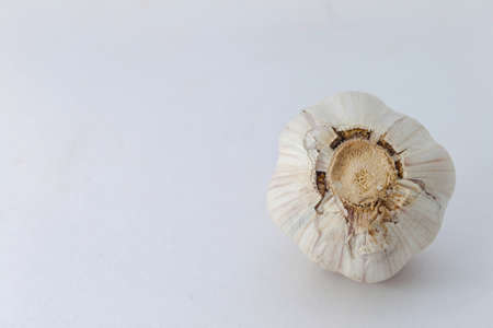 garlic bulb isolated on white backgroundの写真素材