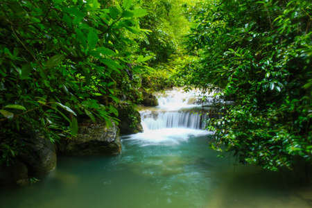 Waterfall Green forest bight streamの写真素材