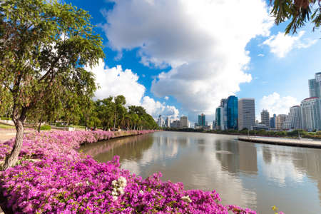 Bangkok city downtown and business district cityscape from a parkのeditorial素材