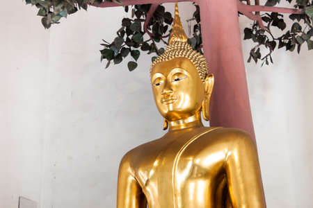 Buddha in Wat Pho Temple sequential nicely in Bangkok, Thailand の写真素材