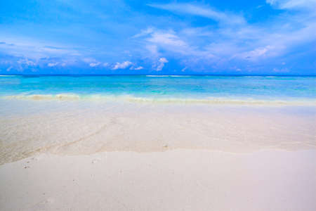 Tropical beach of Andaman Sea in Tachai island - Thailandの写真素材