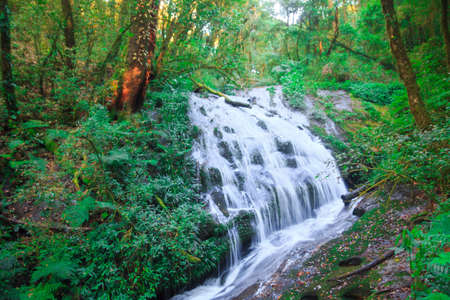 Waterfall in the forest Thailandの写真素材