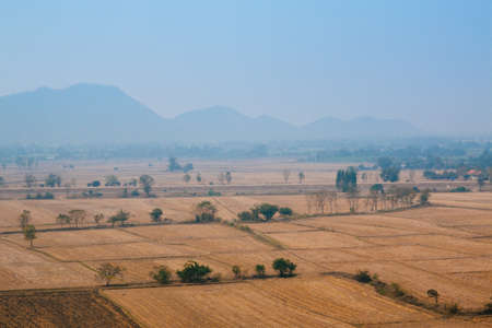 Top view of paddy field in Kanchanaburi, Thailandの写真素材