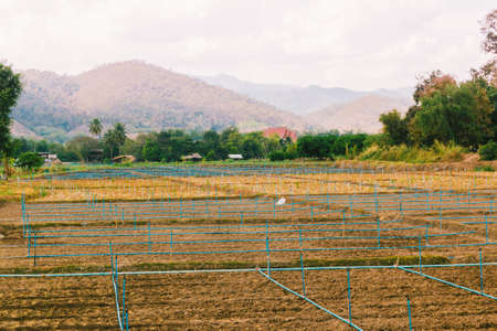 An agricultural field in the countrysideの写真素材