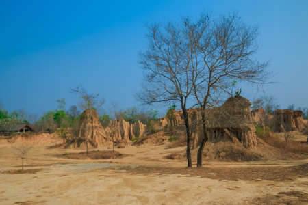 soil textures of Sao Din Na Noi in Sri Nan national park, Nan Thailandの写真素材
