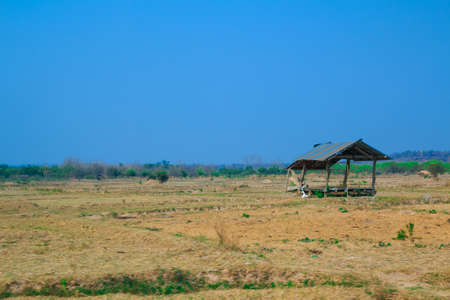 Paddy field view  in Nan, Thailandの写真素材