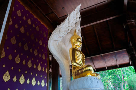 a style of Buddha with a naga over His head in Nan Province,Thailandの写真素材