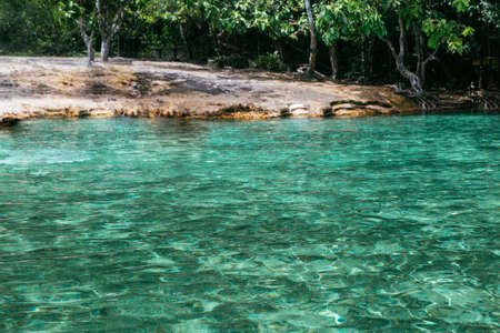 The emerald pool at Krabi, Thailandの写真素材