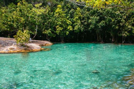 The emerald pool at Krabi, Thailandの写真素材