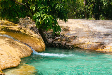 The emerald pool at Krabi, Thailandの写真素材