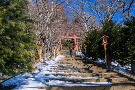 Chureito Pagoda and Mt. Fuji in Fujiyoshida, Japanの写真素材