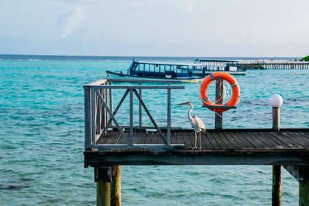 Beautiful tropical Maldives resort and island with beach and sea on blue sky for holiday vacationのeditorial素材