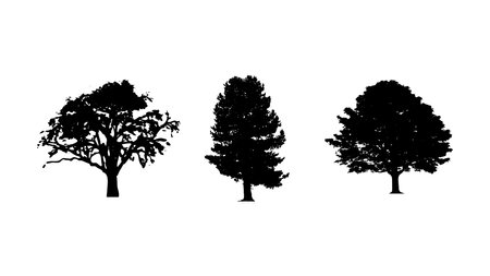 Set of tree silhouette on white backgroundのイラスト素材
