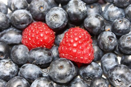 black whortleberries with red raspberries, background