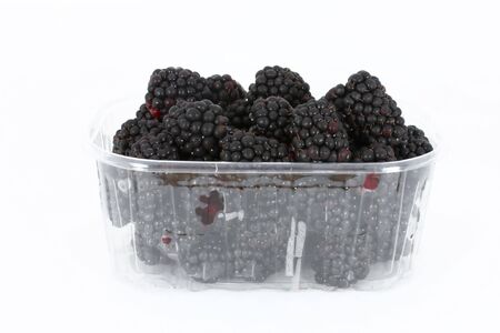 Fresh blackberries in plastic container on white backgroundの写真素材