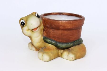 turtle, container of clay for flowers, isolatedの写真素材