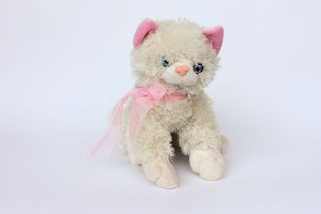 a beautiful white cat with pink tie, child toyの写真素材