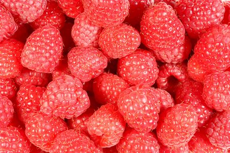 a lot of fresh raspberries, background