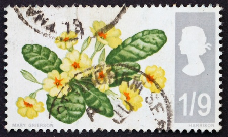 GREAT BRITAIN ï¿½ CIRCA 1967: a stamp printed in the Great Britain shows yellow primrose, circa 1967の写真素材