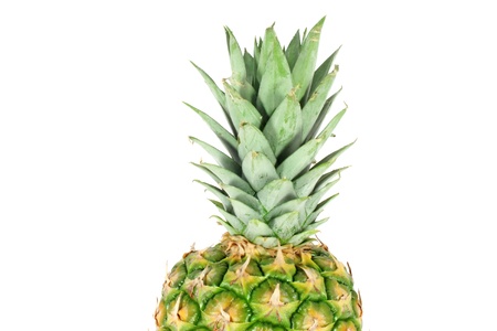 Top of the pineapple isolated on white