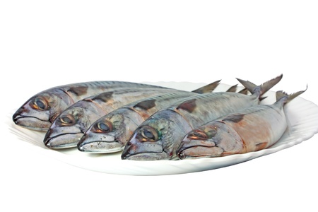 Mackerels on plate isolated on whiteの写真素材