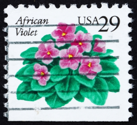 UNITED STATES OF AMERICA - CIRCA 1993: a stamp printed in the United States of America shows African Violets, Plant, circa 1993の写真素材
