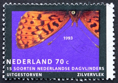 NETHERLANDS - CIRCA 1993: a stamp printed in the Netherlands shows Pearl-bordered Fritillary, Butterfly, circa 1993の写真素材