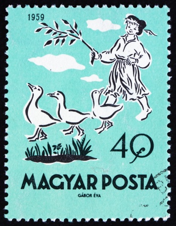 HUNGARY - CIRCA 1959: a stamp printed in the Hungary shows Matt, the Goose Boy, Fairy Tale, circa 1959のeditorial素材