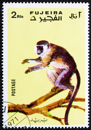 FUJEIRA - CIRCA 1972: a stamp printed in the Fujeira shows Monkey, Series Monkeys, circa 1972のeditorial素材