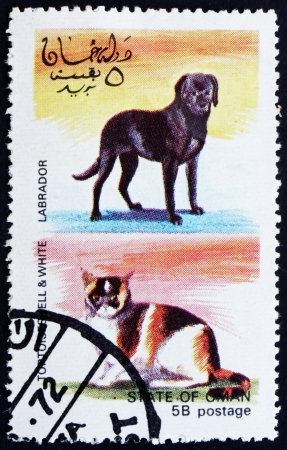 OMAN - CIRCA 1972: a stamp printed in the Oman shows Tortoiseshell and White Cat And Labrador Dog, circa 1972のeditorial素材