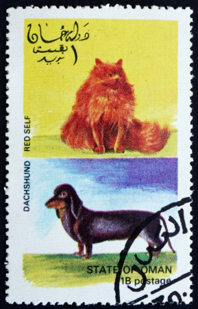 OMAN - CIRCA 1972: a stamp printed in the Oman shows Red Self Cat and Dachshund Dog, circa 1972のeditorial素材