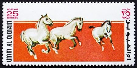 UMM AL-QUWAIN - CIRCA 1969: a stamp printed in the Umm al-Quwain shows Holsteiner Horses, Breed of Horse Originating in The Schleswig-Holstein Region, Germany, circa 1969のeditorial素材
