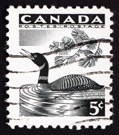CANADA - CIRCA 1957: a stamp printed in the Canada shows Loon, Bird, circa 1957のeditorial素材