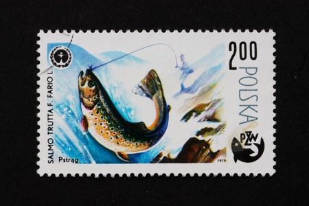 POLAND - CIRCA 1979: a stamp printed in the Poland shows Trout, Salmo Troutta F. Fario L., Fish, Centenary of Polish Angling, Protection of Environment, circa 1979のeditorial素材