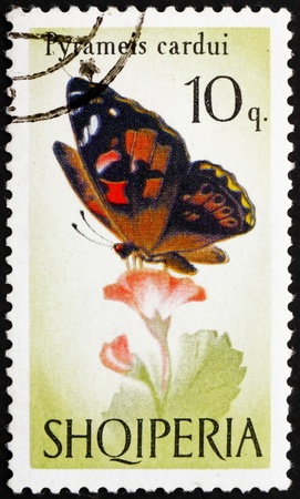 ALBANIA - CIRCA 1966: a stamp printed in the Albania shows Painted Lady, Butterfly, Pyrameis Cardui, circa 1966のeditorial素材